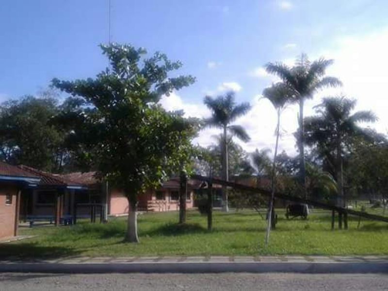 Clínicas de Recuperação em Lindéia – Apoio Completo para Dependentes Químicos e Alcoólicos - 96acc6cd0ff36f0192157285faade352.jpg