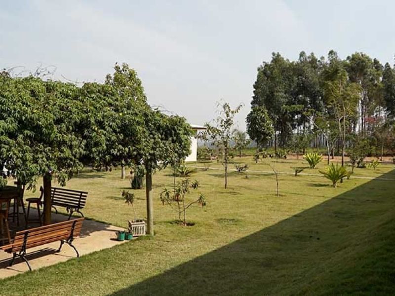 Clínicas de Recuperação em Agudos do Sul- PR - b0657e6ff840bdd0a685820f9ee2e0f5.jpg