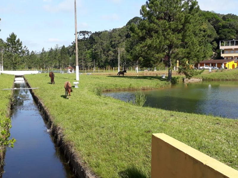 Clínicas de Recuperação Prime em Bragança Paulista- SP - b6e8851dc826a170bea14e7cf21bc20d.jpg
