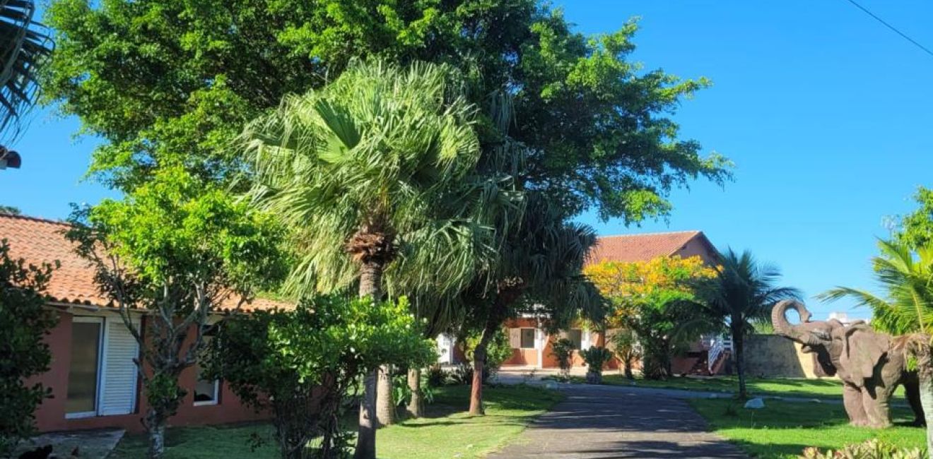 Internação Involuntária em Limeira | Clínica de Recuperação Prime