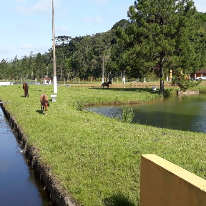 Clínicas de Recuperação Prime em Bragança Paulista- SP
