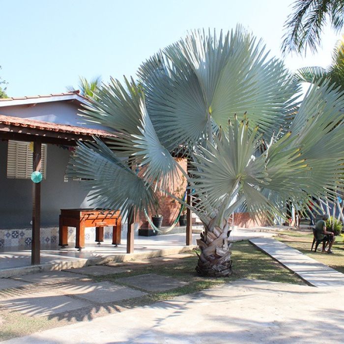 Clínica de Recuperação em Pedro Leopoldo MG com Convênio Bradesco Saúde e Internação